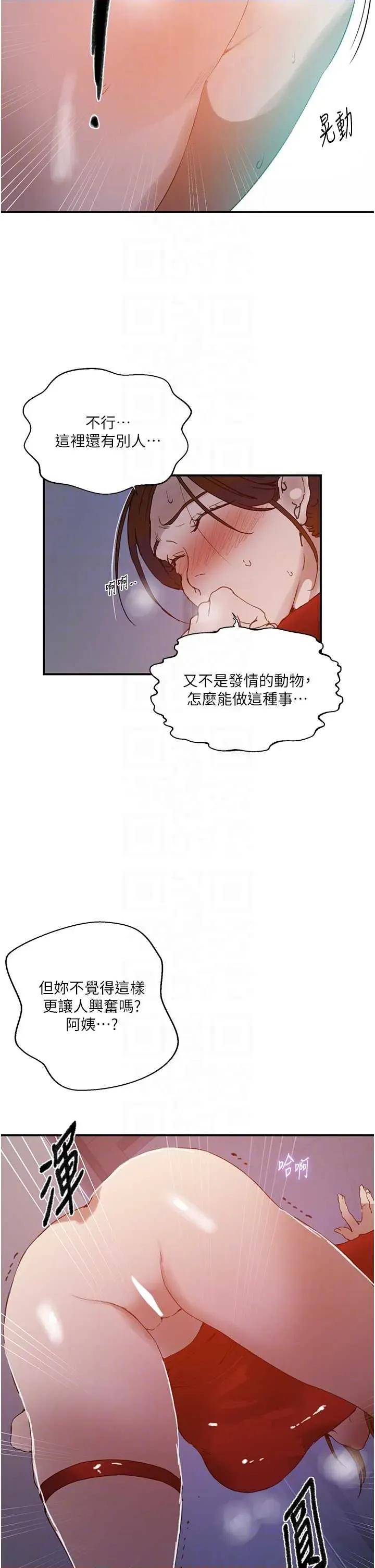 秘密教学 秘密教学 290 第24页