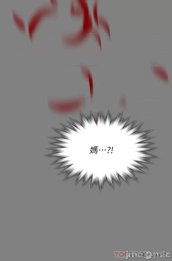 傀儡 傀儡 255 第2页