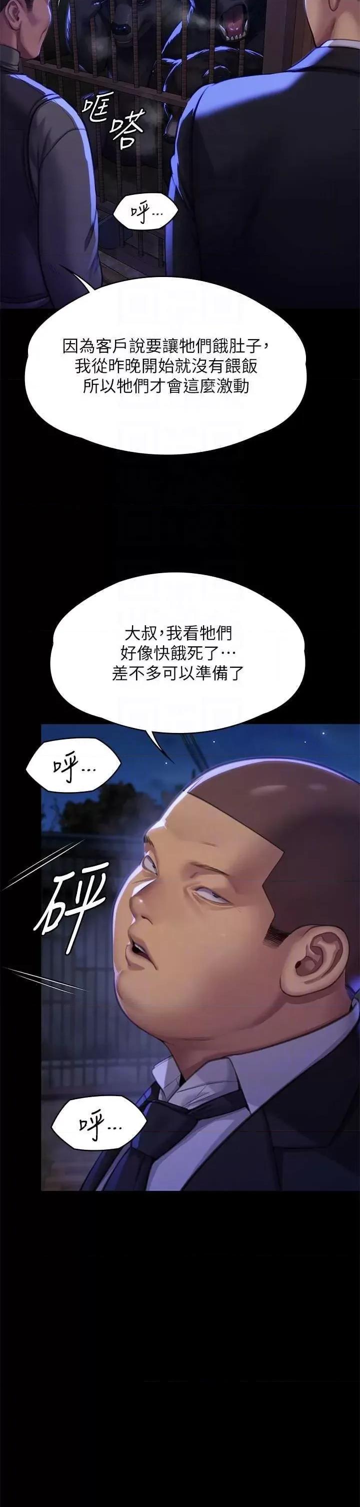 傀儡 傀儡 311 第26页
