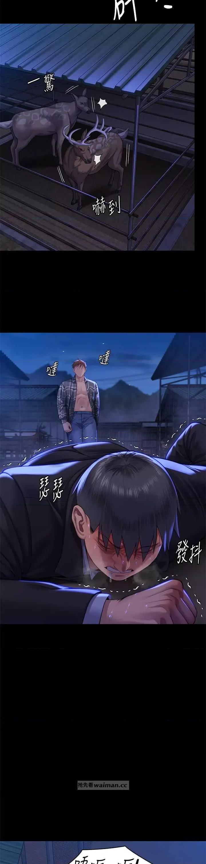 傀儡 傀儡 312 第16页