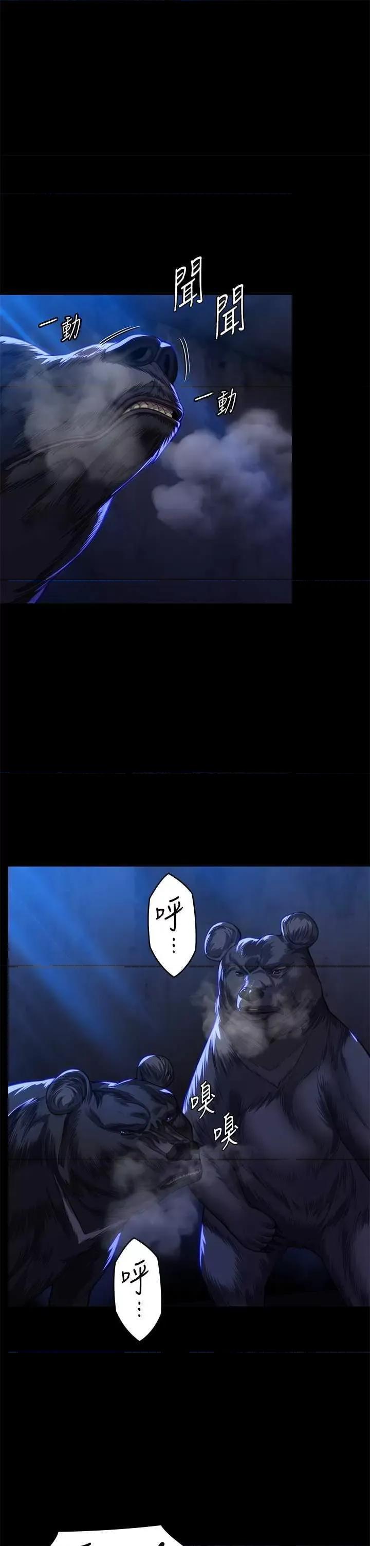 傀儡 傀儡 313 第1页