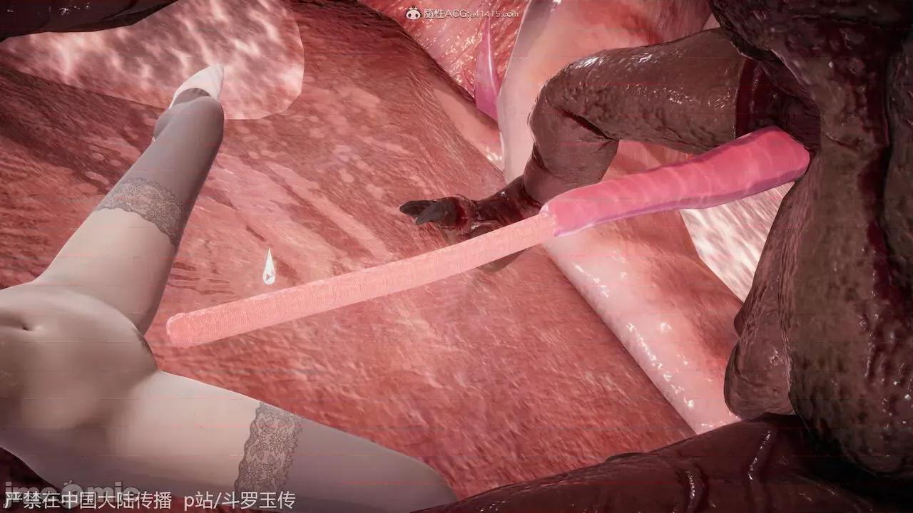 鬥羅玉傳 [辰鋒] 鬥羅玉傳 第21 第255页