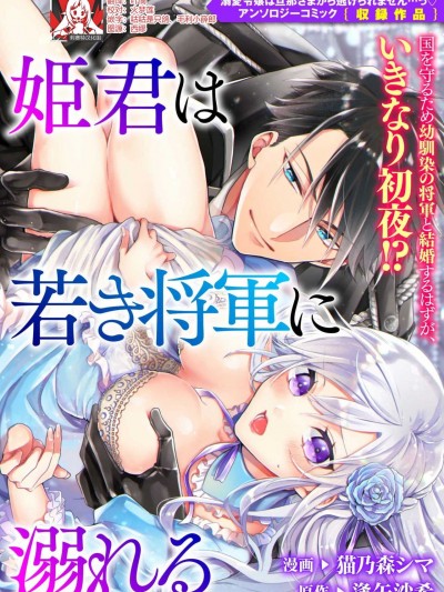 公主被年轻将军迷恋