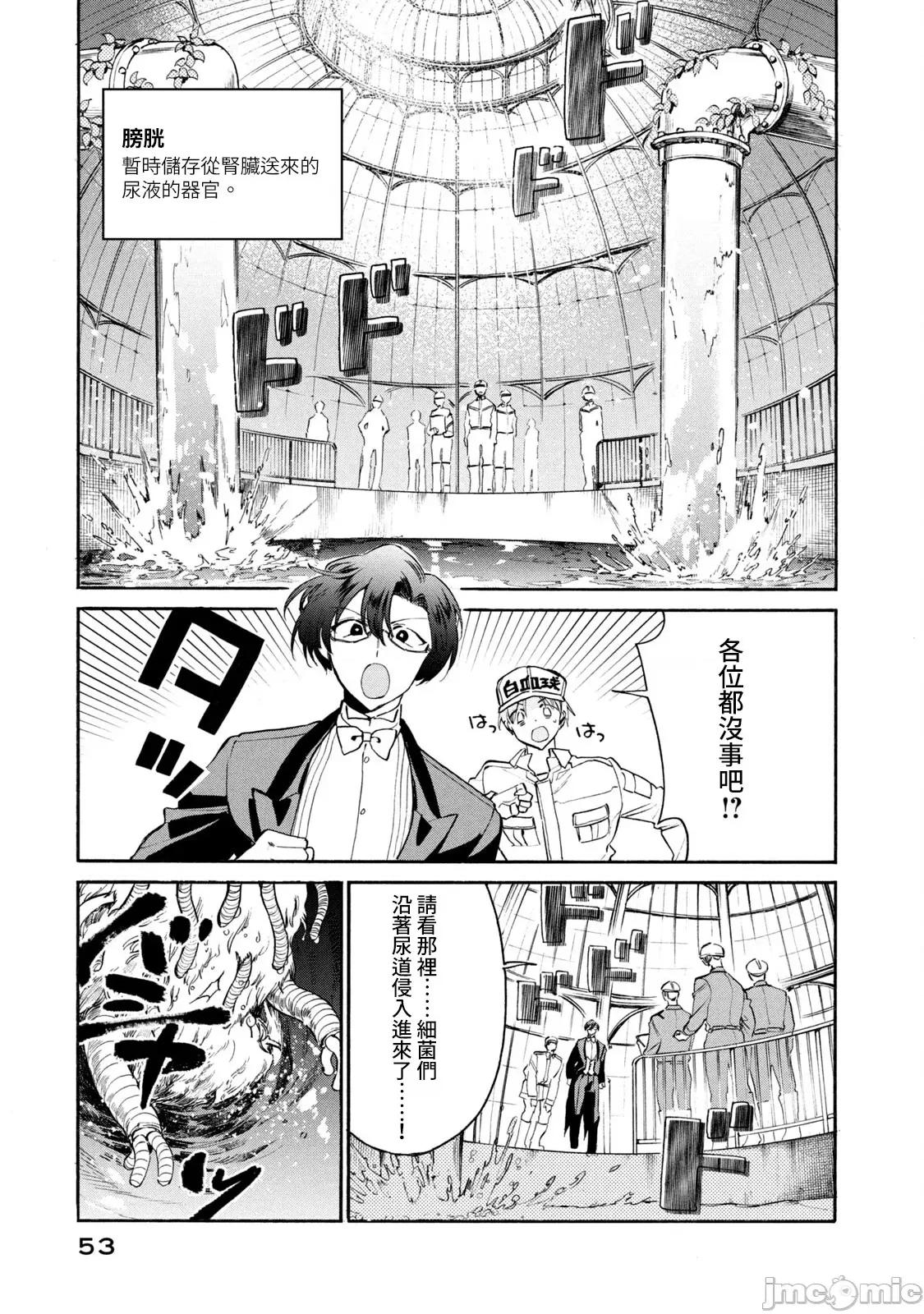工作细胞 工作细胞 LADY 7 第14页
