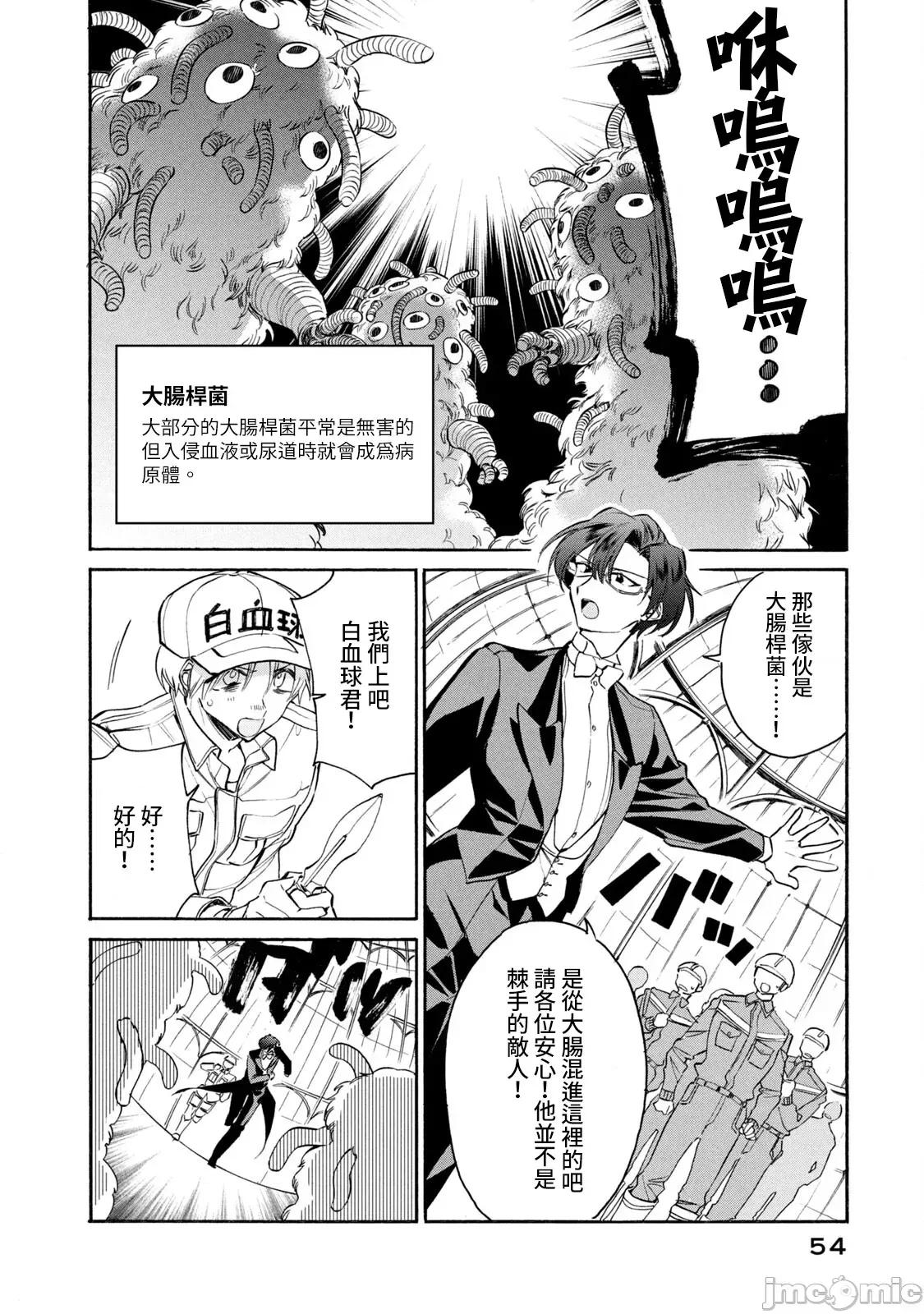 工作细胞 工作细胞 LADY 7 第15页