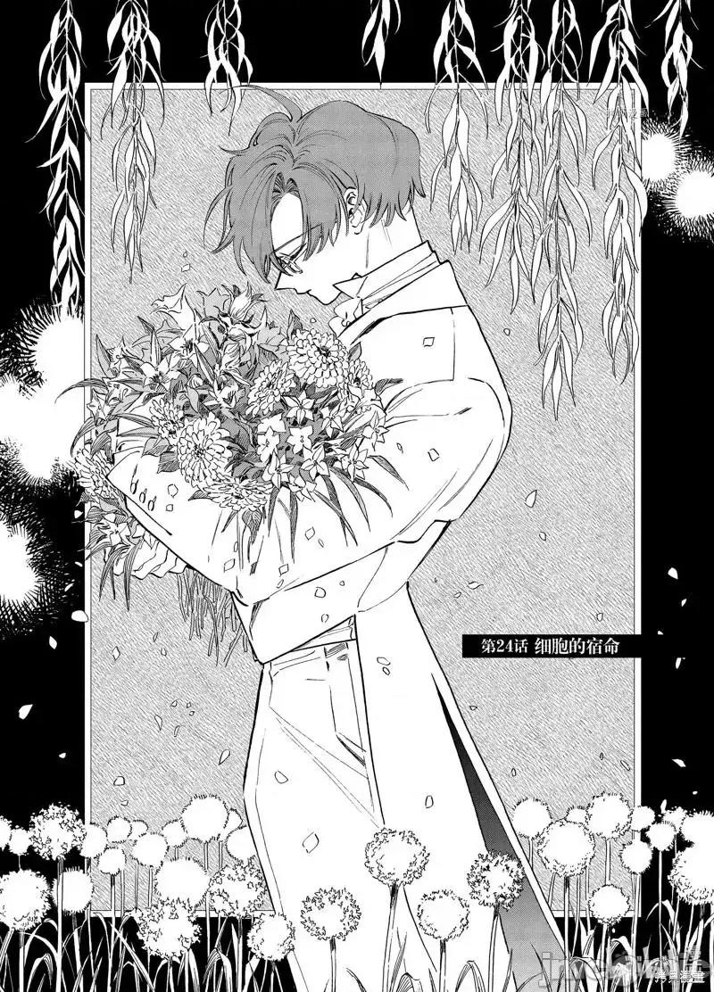 工作细胞 工作细胞lady024 第24话.zip 第1页