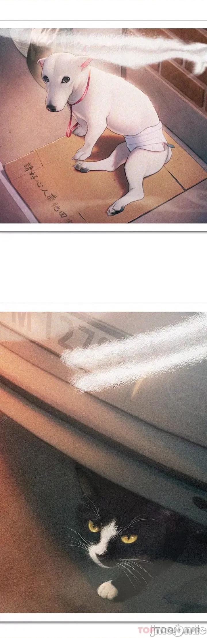 恋爱大富翁 恋爱大富翁 第一季最终话 相互正视的两人 第40页