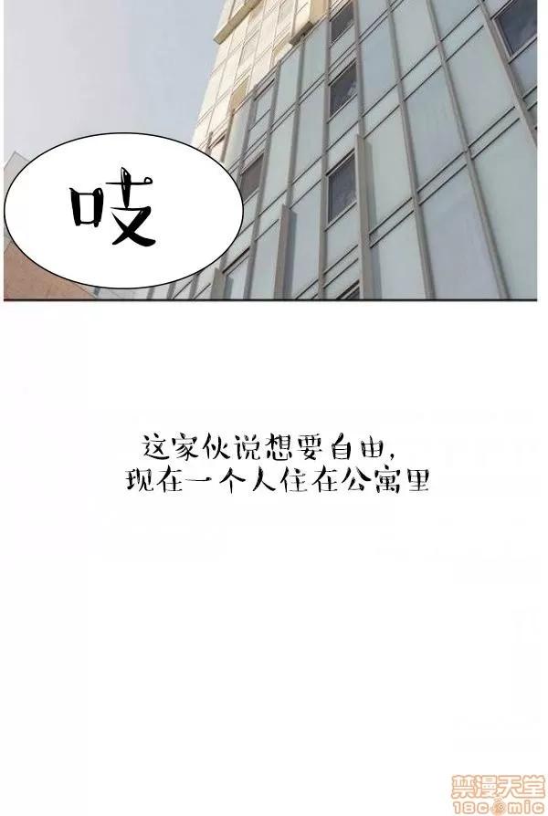 完美的饲养 完美的饲养 1-9 第21页