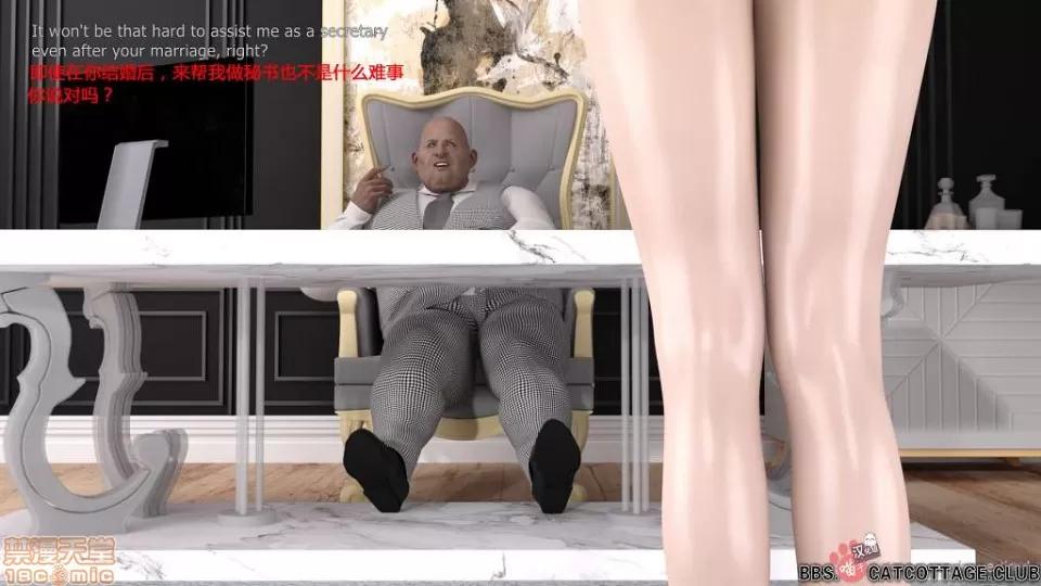 完美秘书：Perfect 【步兵/超精致】完美秘书：Perfect Secretary【1-3季】汉化全集 第4页