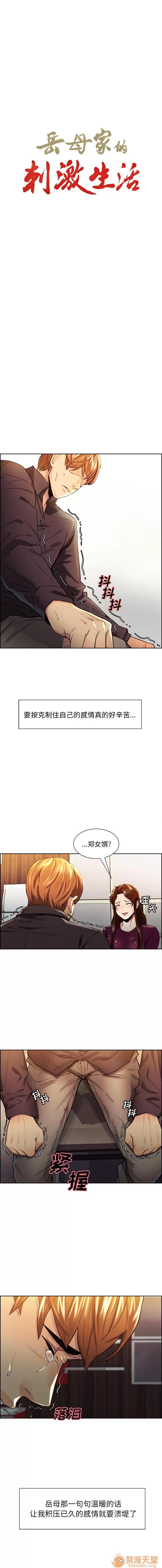 嶽母家的刺激生活 嶽母家的刺激生活 05 第21页