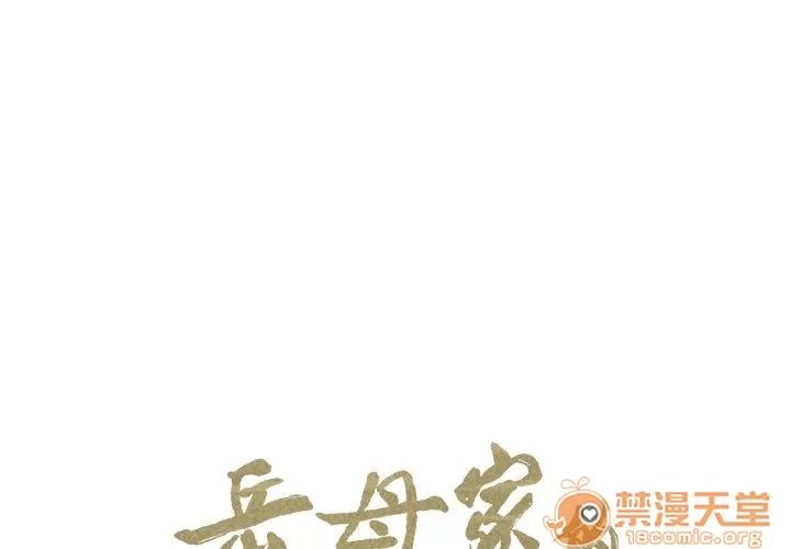 嶽母家的刺激生活 嶽母家的刺激生活 06 第311页