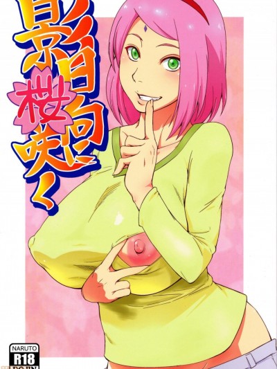 影日向に櫻咲く