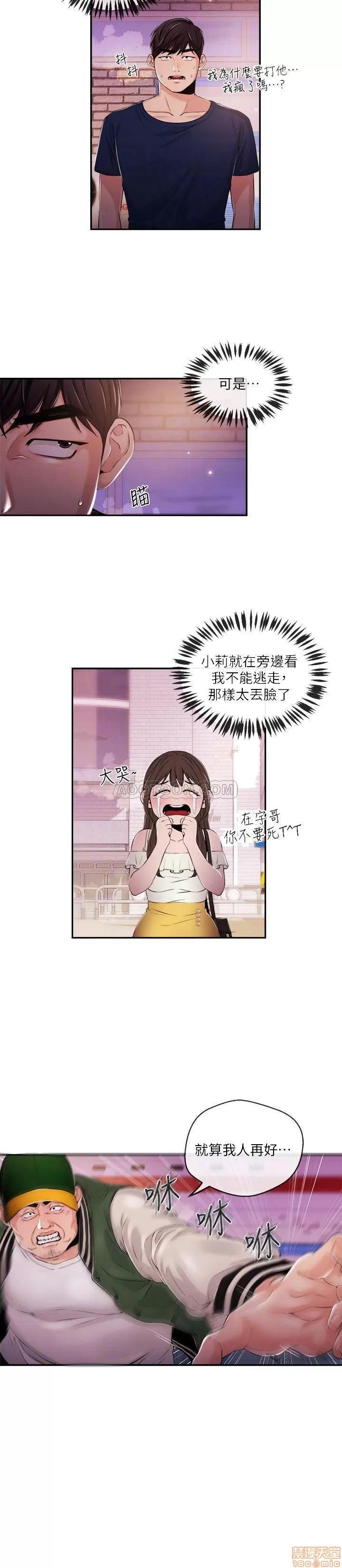 新闻主播 新闻主播 25 第4页