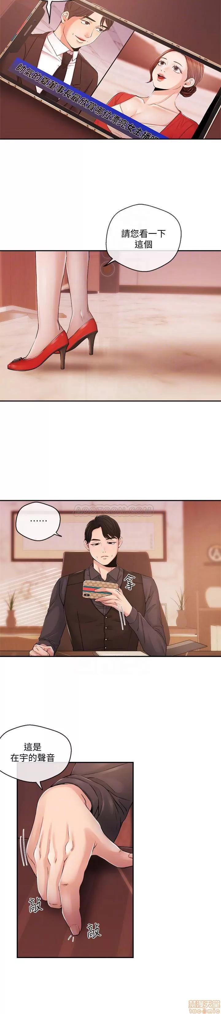 新闻主播 新闻主播 29 第17页