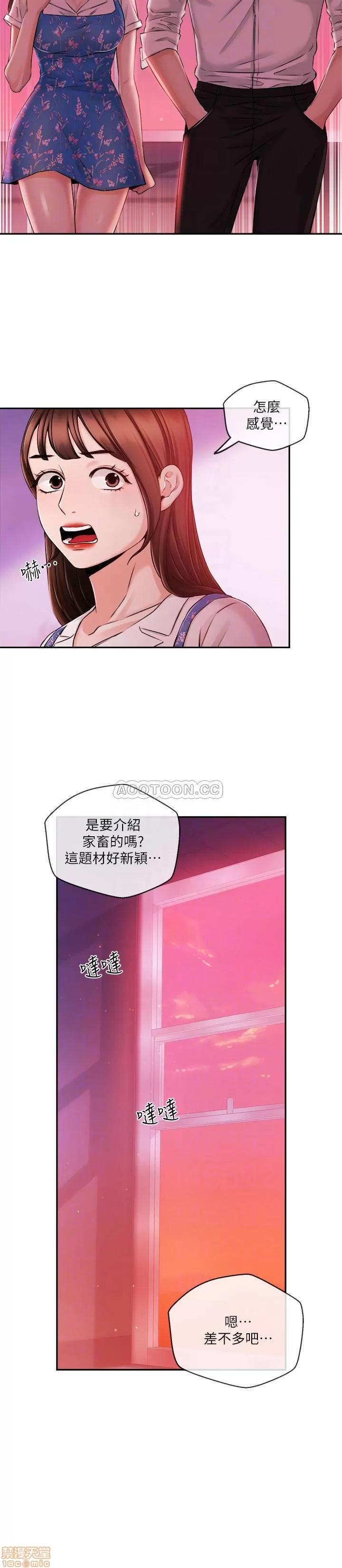 新闻主播 新闻主播 33 第14页