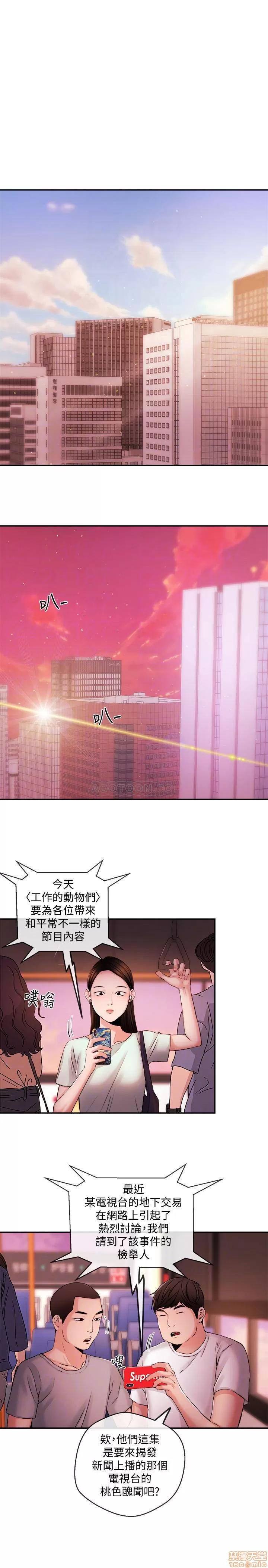 新闻主播 新闻主播 39 第10页