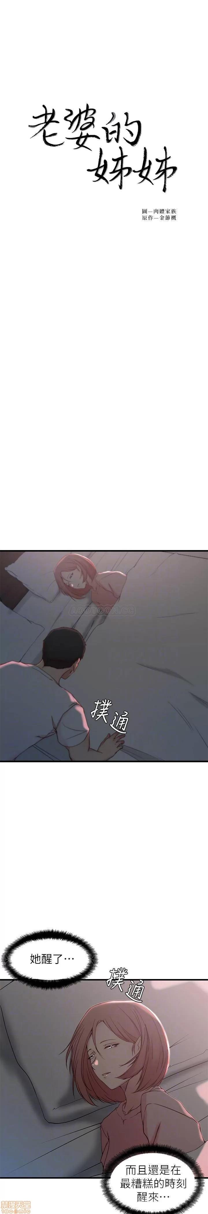 老婆的姊姊 老婆的姊姊 20 第3页