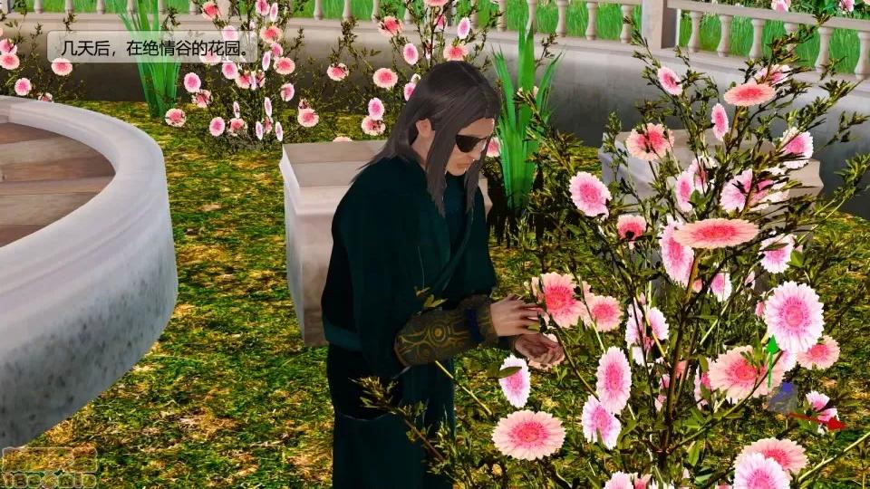 神雕别传 神雕别传05 第103页