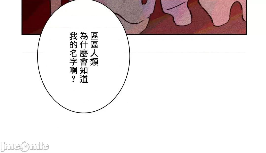 魔女、30岁 魔女30岁 87 第11页