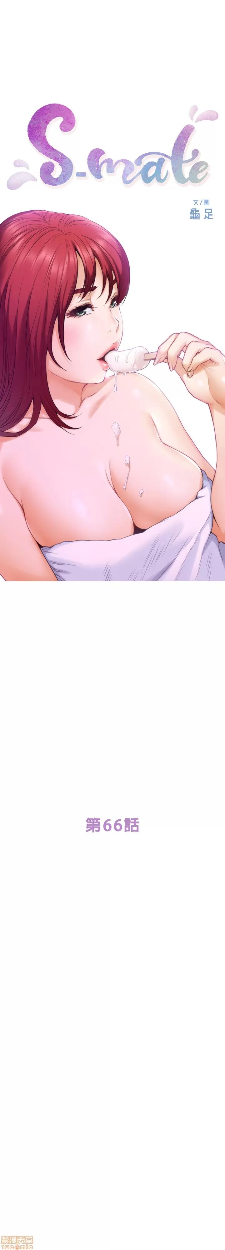 S-mate S-MATE 66 第3页