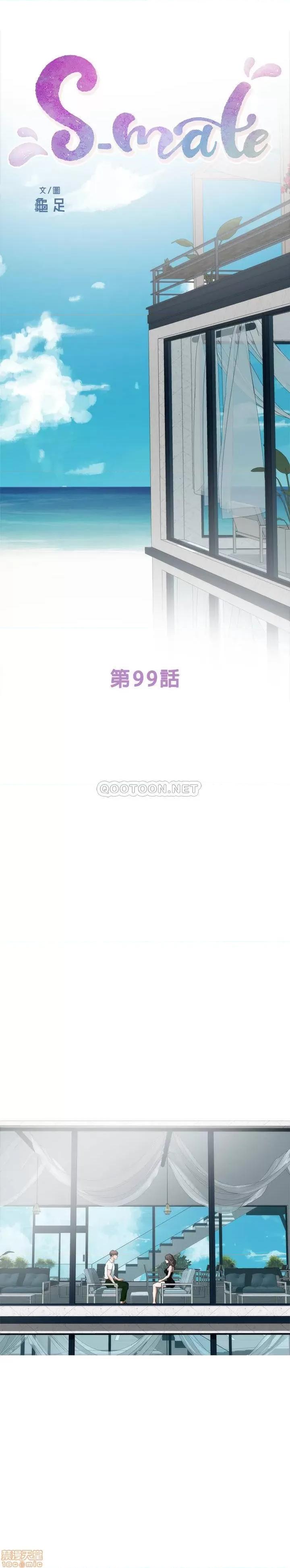 S-mate S-MATE 99 第1页