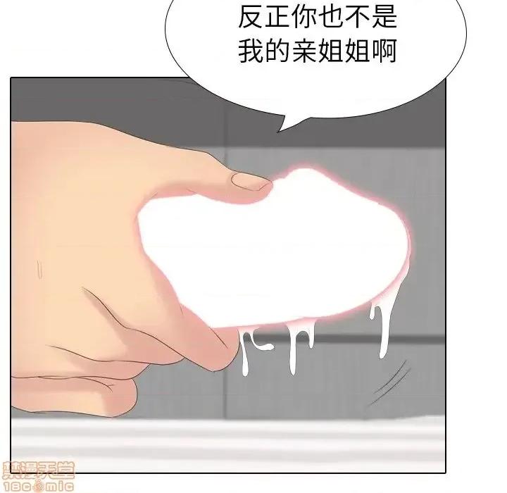 姐姐的私密日记 姐姐的私密日记 28 第74页
