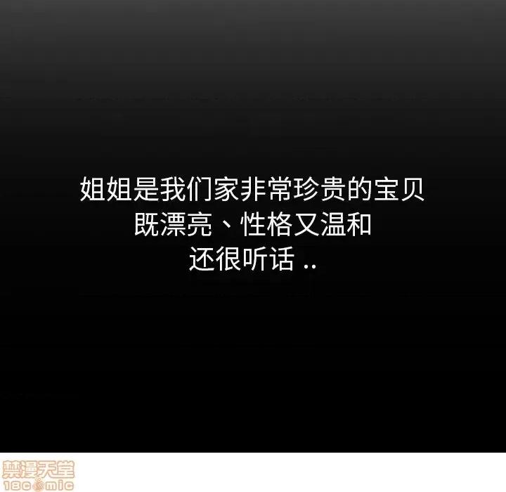 姐姐的私密日记 姐姐的私密日记 28 第117页