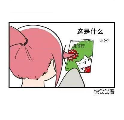 疯狂兄妹 疯狂兄妹 | 第10章 第10页