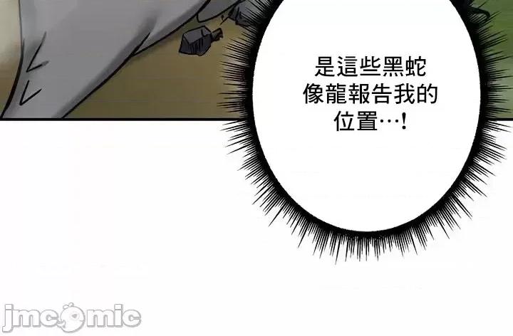 異世界重生之後宮養成記 異世界重生之後宮養成記 44 第5页