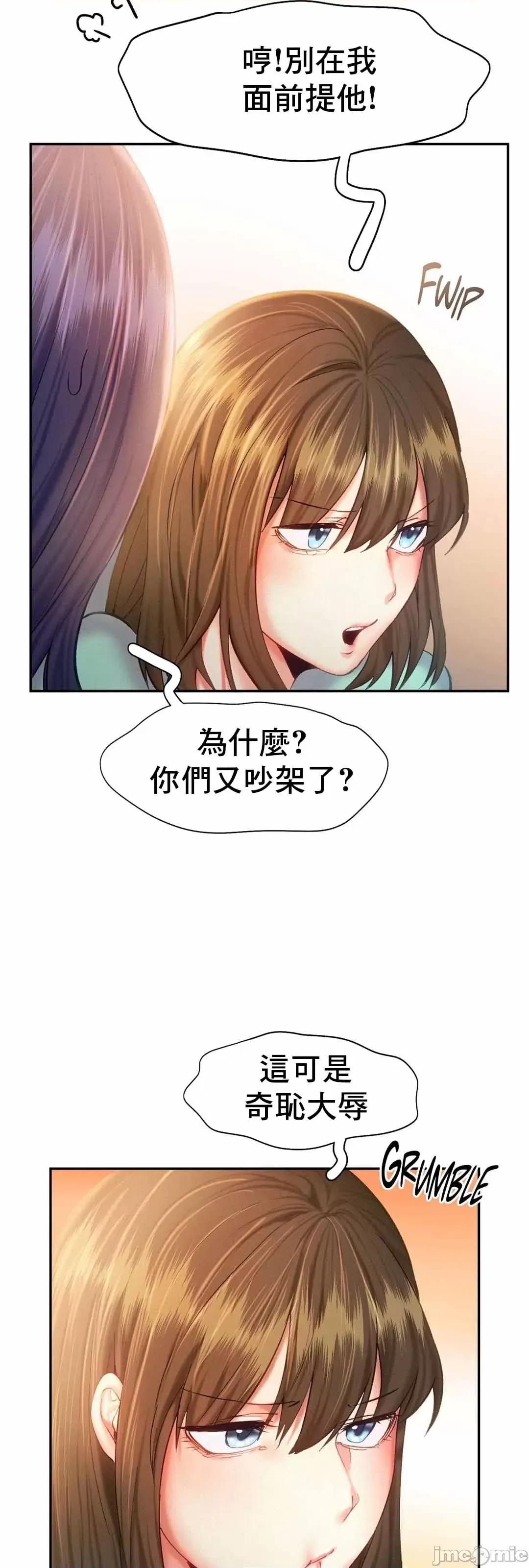 乘风高飞 飞吧 35 第20页