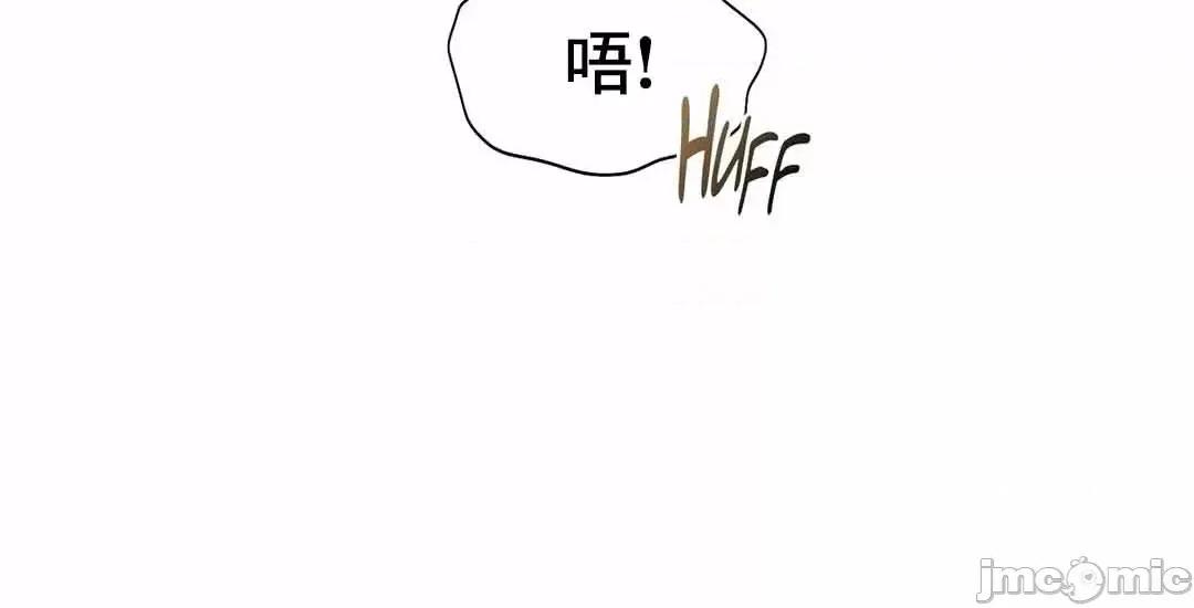 乘风高飞 飞吧 35 第31页