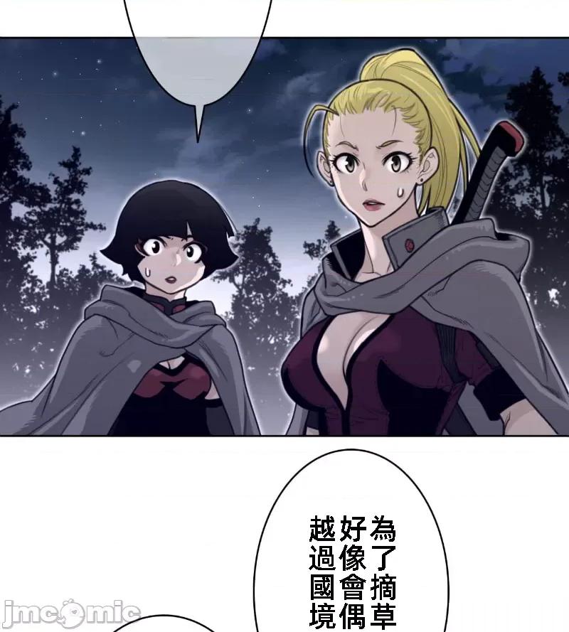 鐵之刃與火焰之花 完美的另一半 137 第13页
