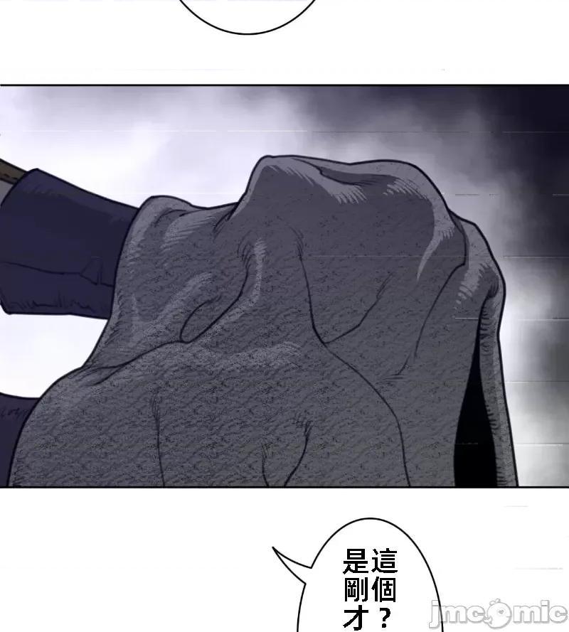 鐵之刃與火焰之花 完美的另一半 137 第66页
