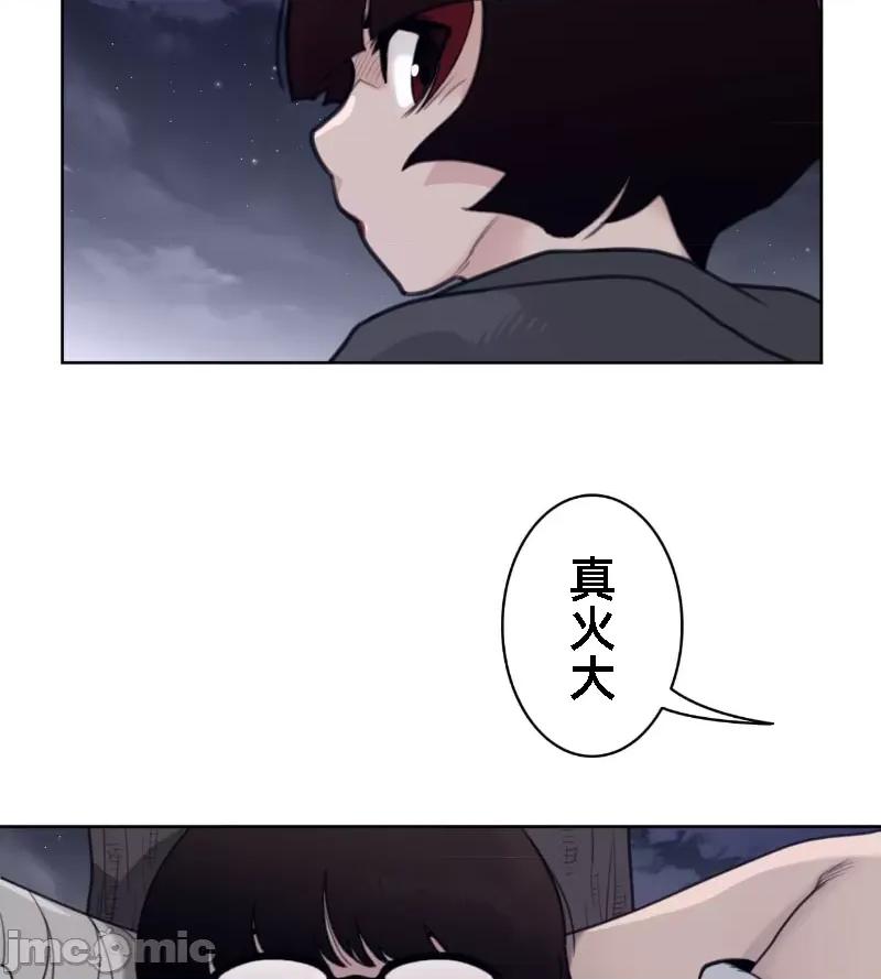 鐵之刃與火焰之花 完美的另一半 141 第29页