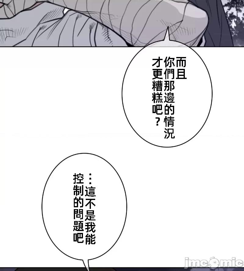 鐵之刃與火焰之花 完美的另一半 141 第32页