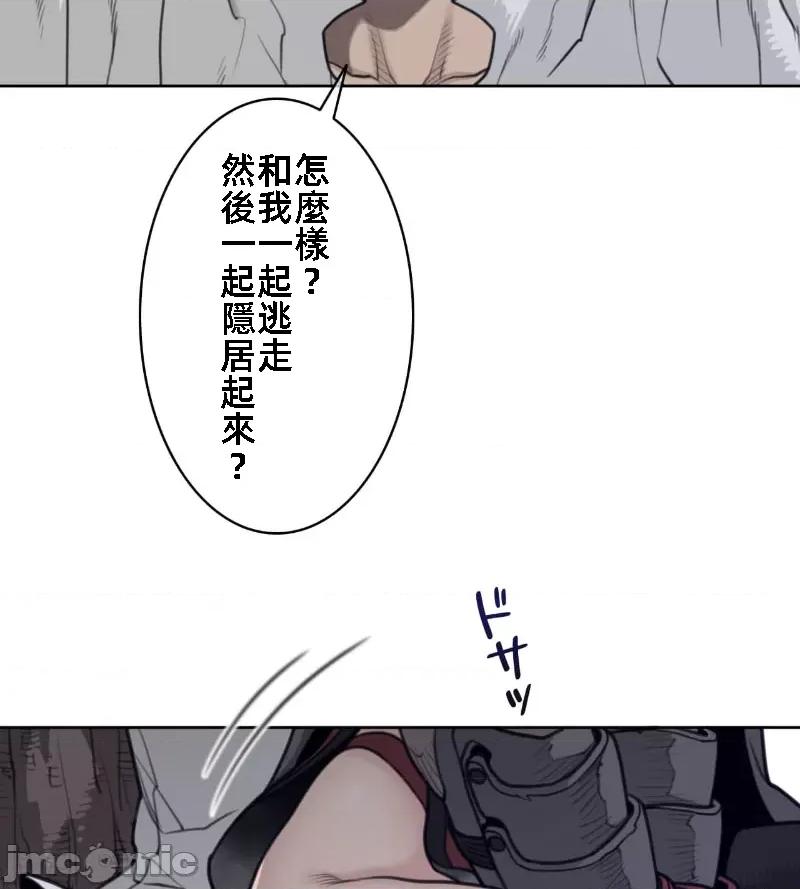 鐵之刃與火焰之花 完美的另一半 141 第36页