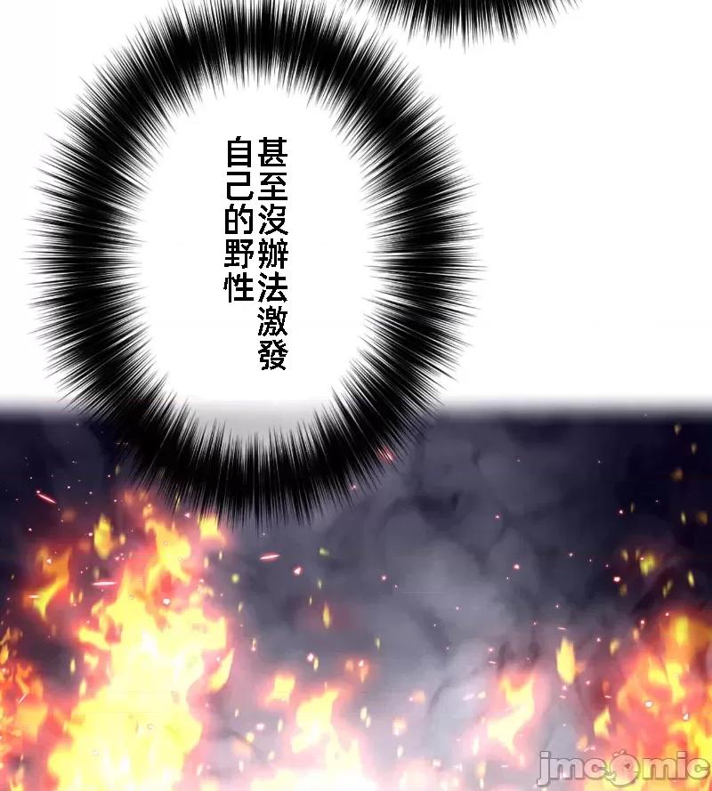 鐵之刃與火焰之花 完美的另一半 143 第47页