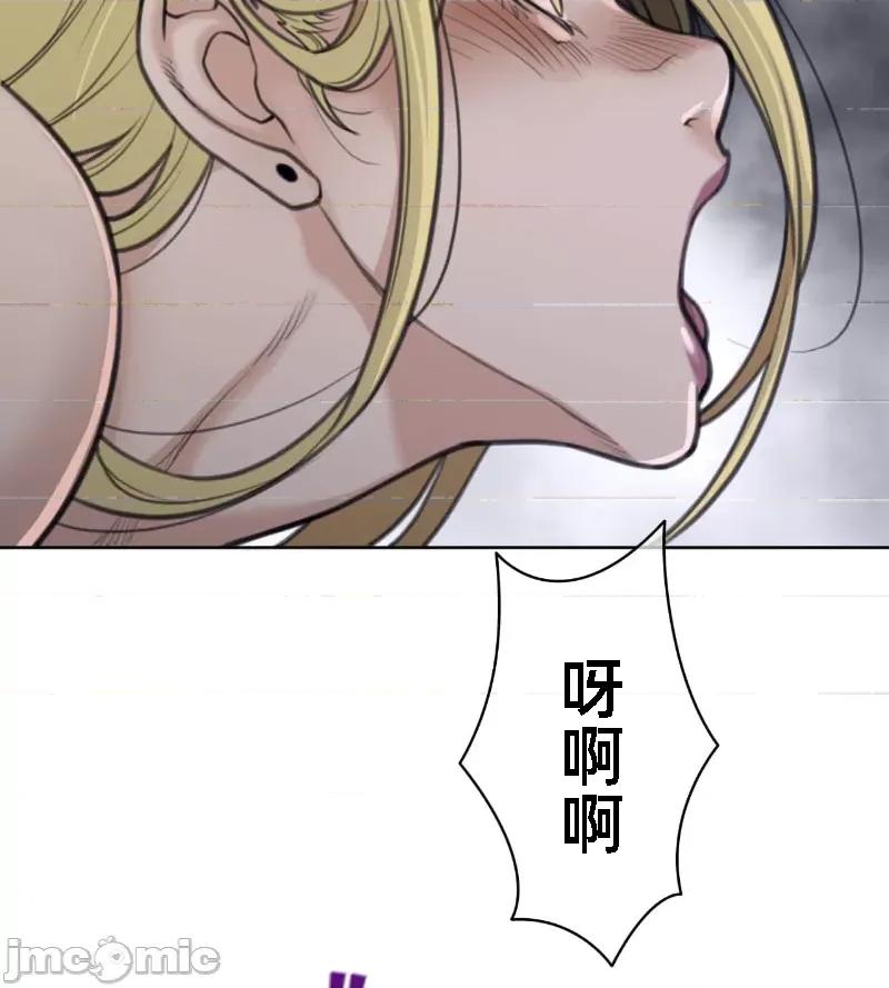 鐵之刃與火焰之花 完美的另一半 145 第67页