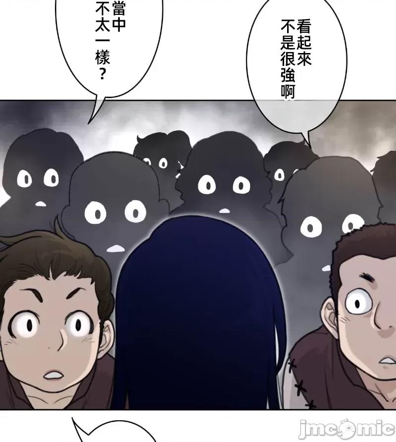 鐵之刃與火焰之花 完美的另一半 147 第50页