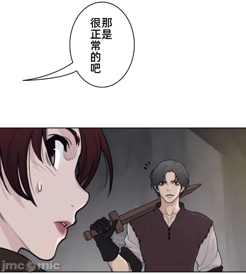 鐵之刃與火焰之花 完美的另一半 147 第64页