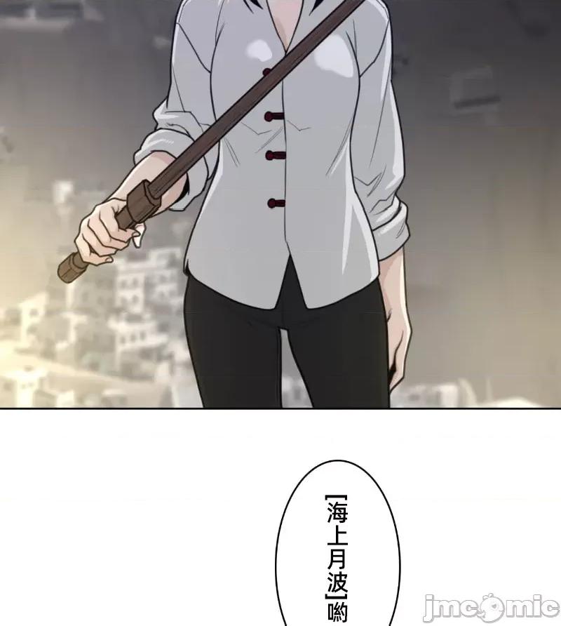 鐵之刃與火焰之花 完美的另一半 147 第68页