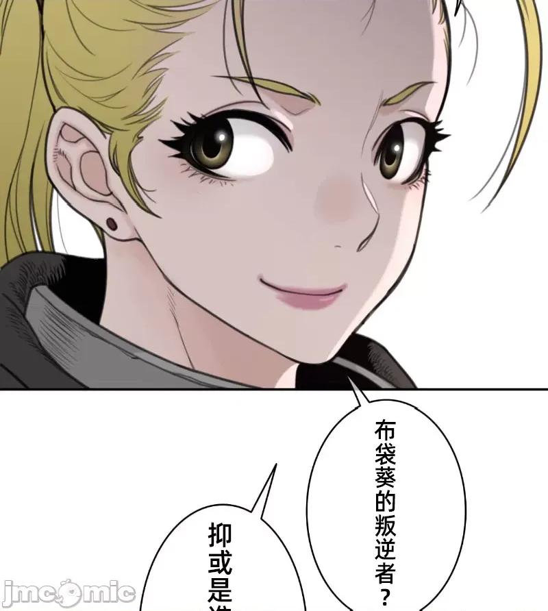 鐵之刃與火焰之花 完美的另一半 159 第22页