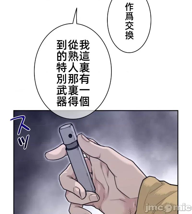 鐵之刃與火焰之花 完美的另一半 163 第29页