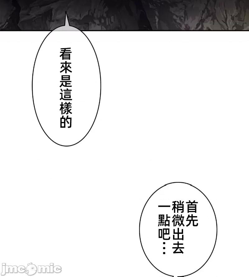 鐵之刃與火焰之花 完美的另一半 163 第47页