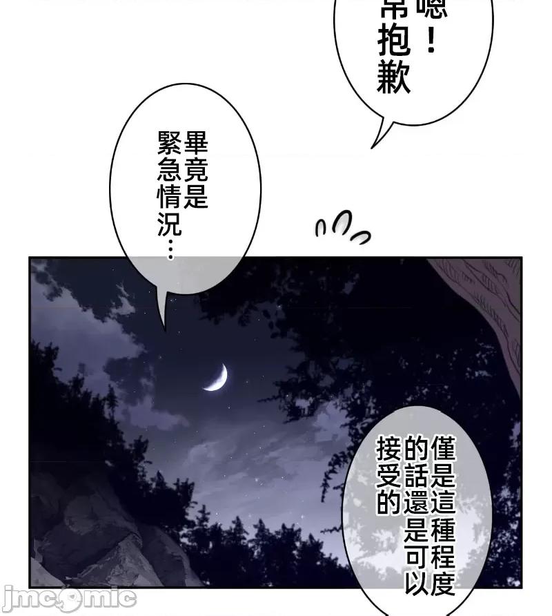 鐵之刃與火焰之花 完美的另一半 163 第60页