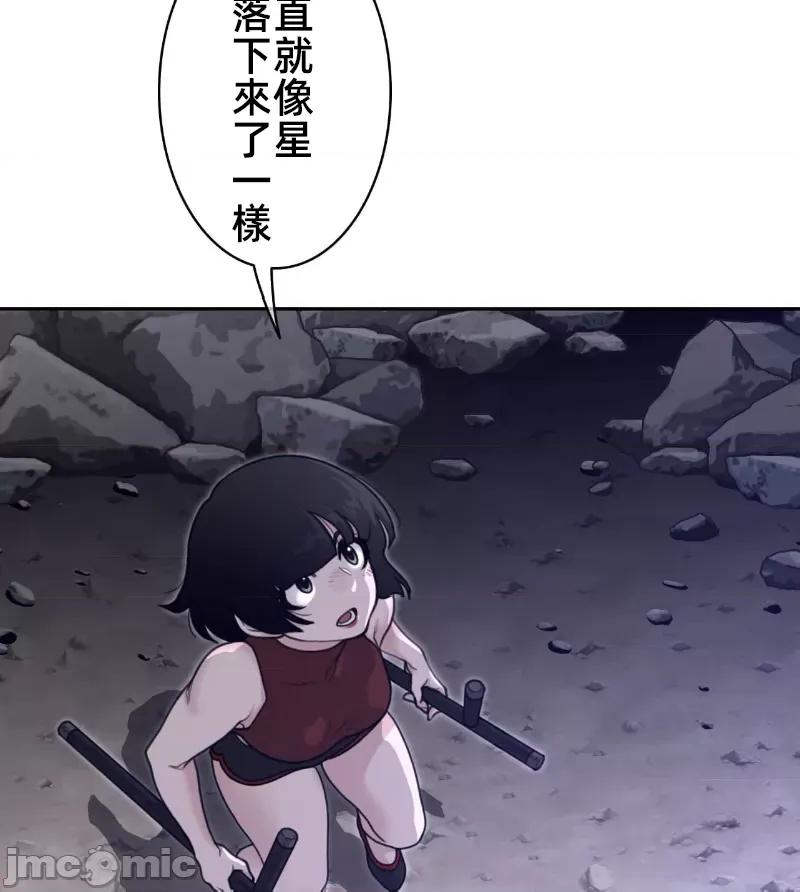 鐵之刃與火焰之花 完美的另一半 165 第54页