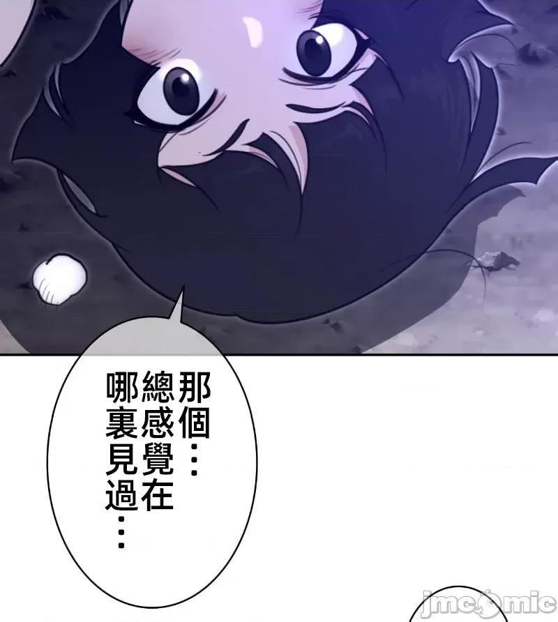 鐵之刃與火焰之花 完美的另一半 166 第55页