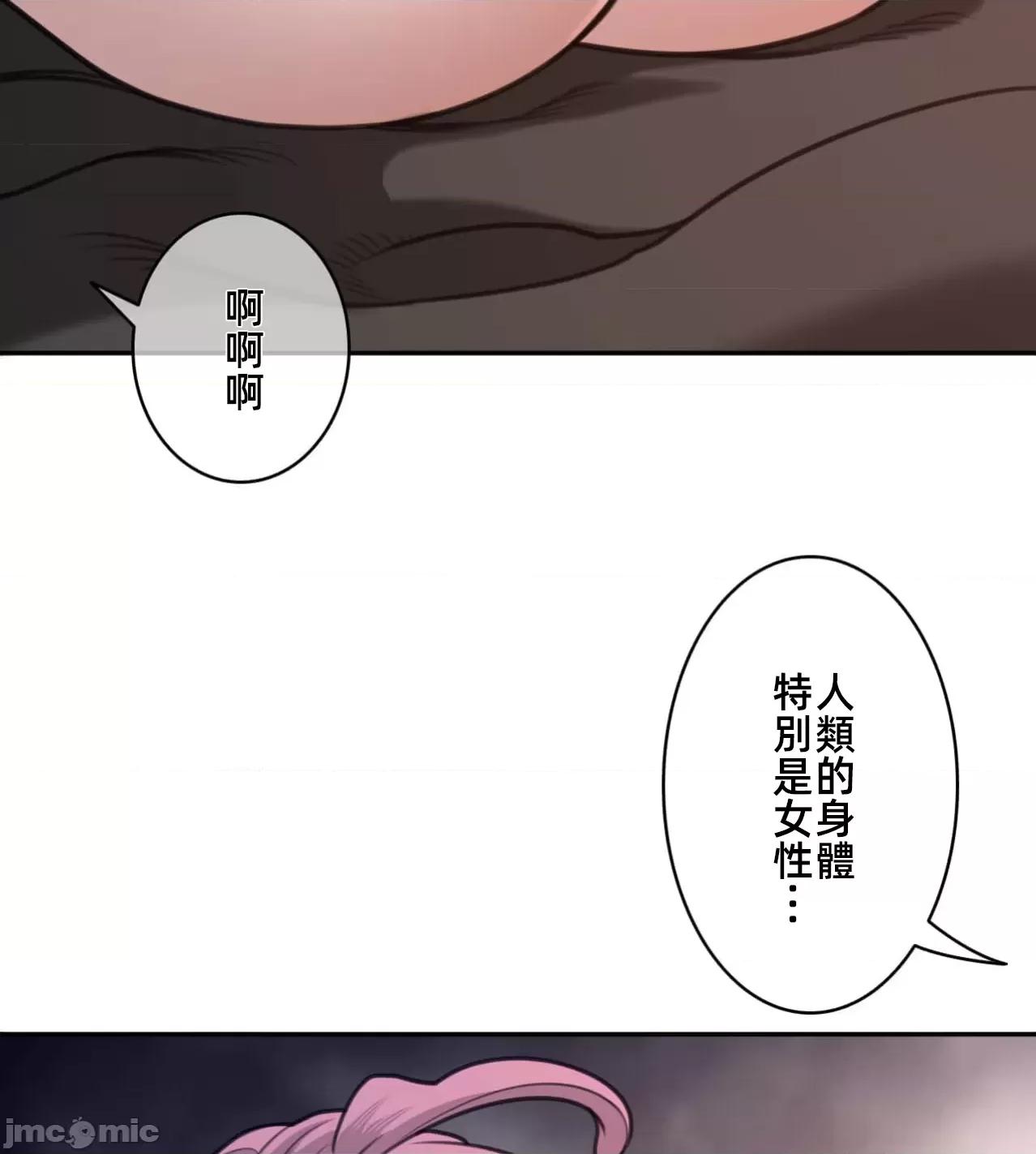 鐵之刃與火焰之花 完美的另一半 177 第63页