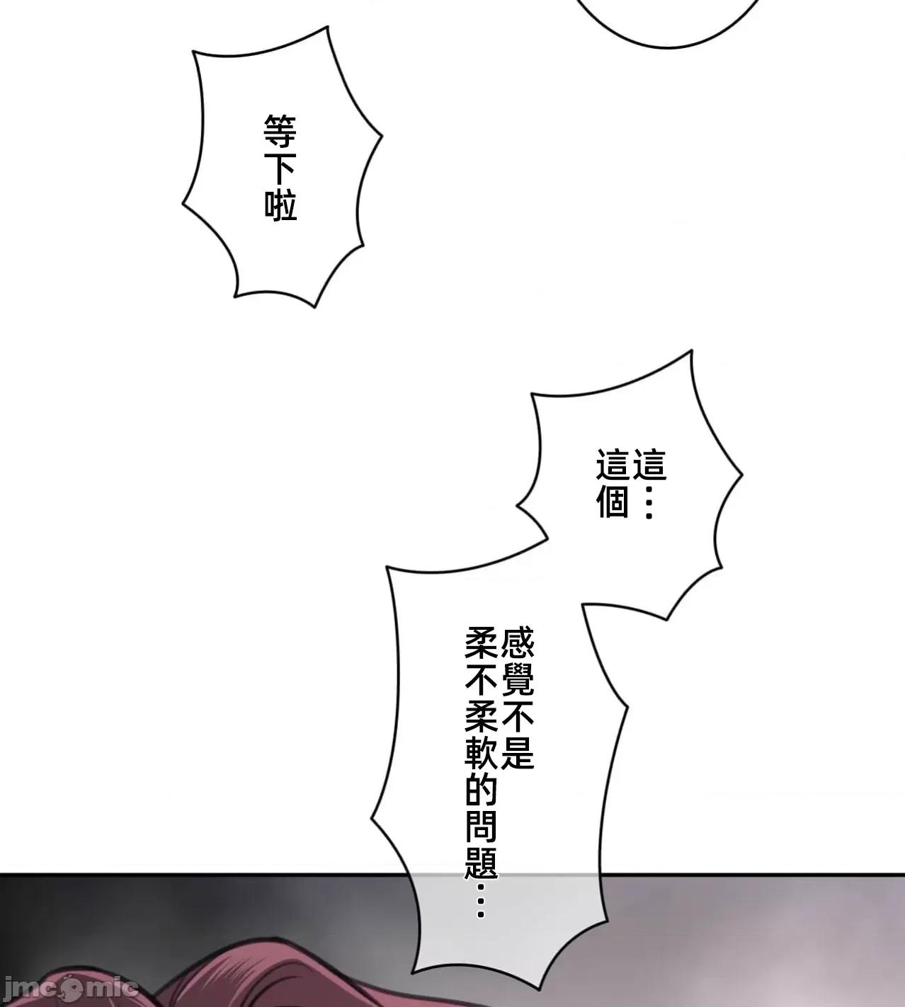 鐵之刃與火焰之花 完美的另一半 177 第69页