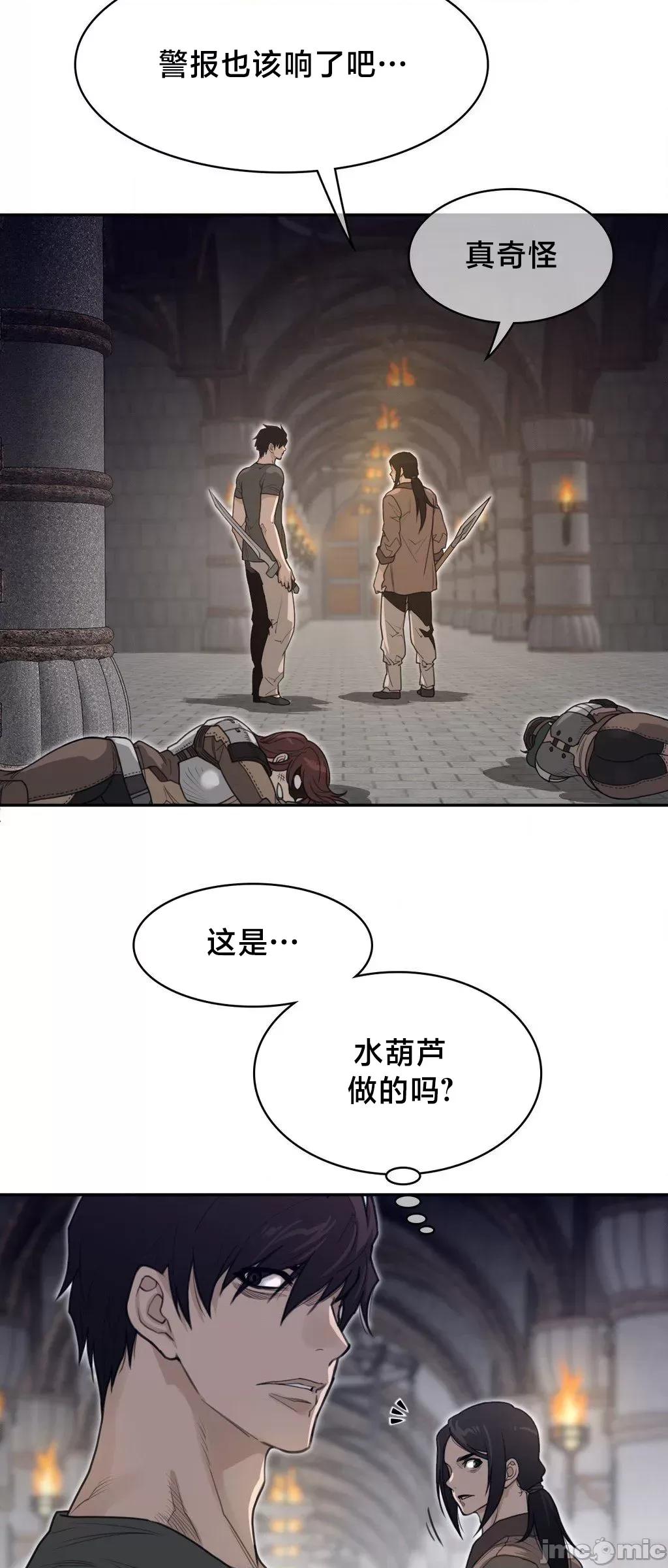 鐵之刃與火焰之花 完美的另一半 199 第13页
